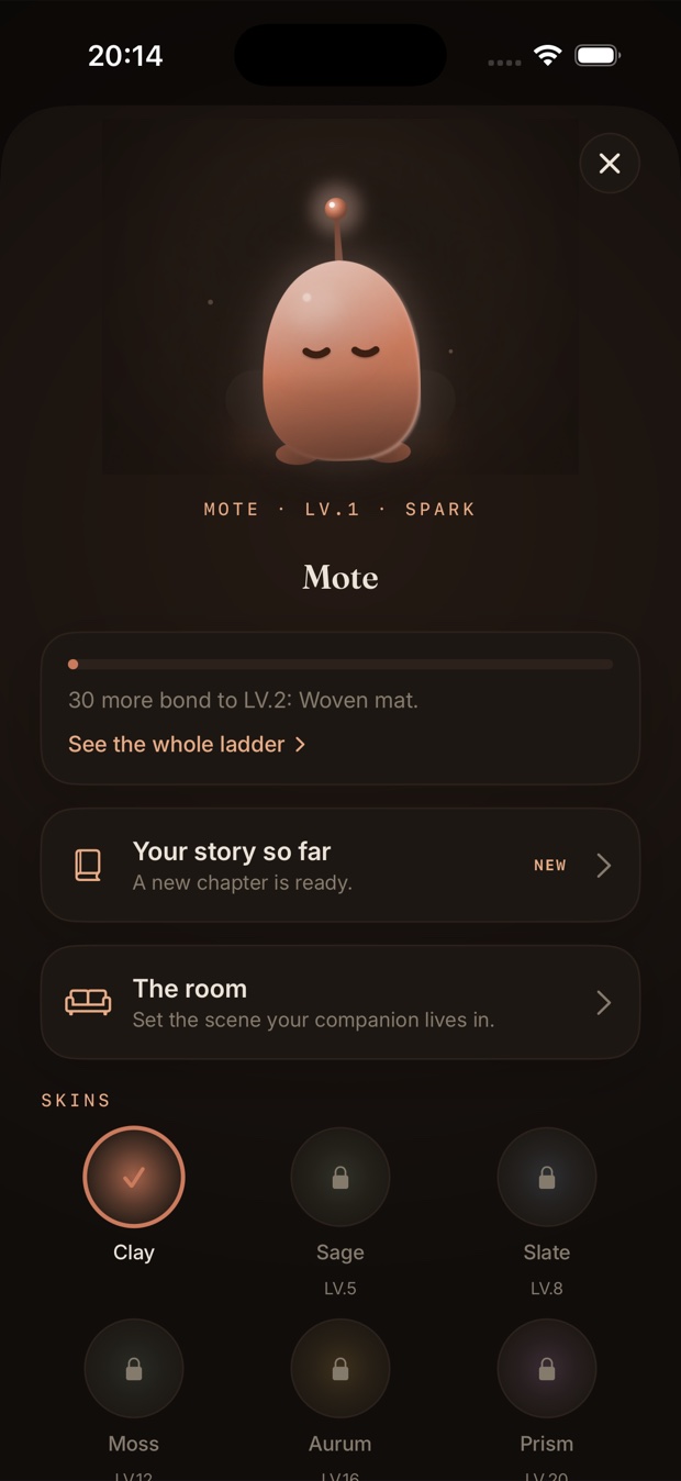 Customizing the companion